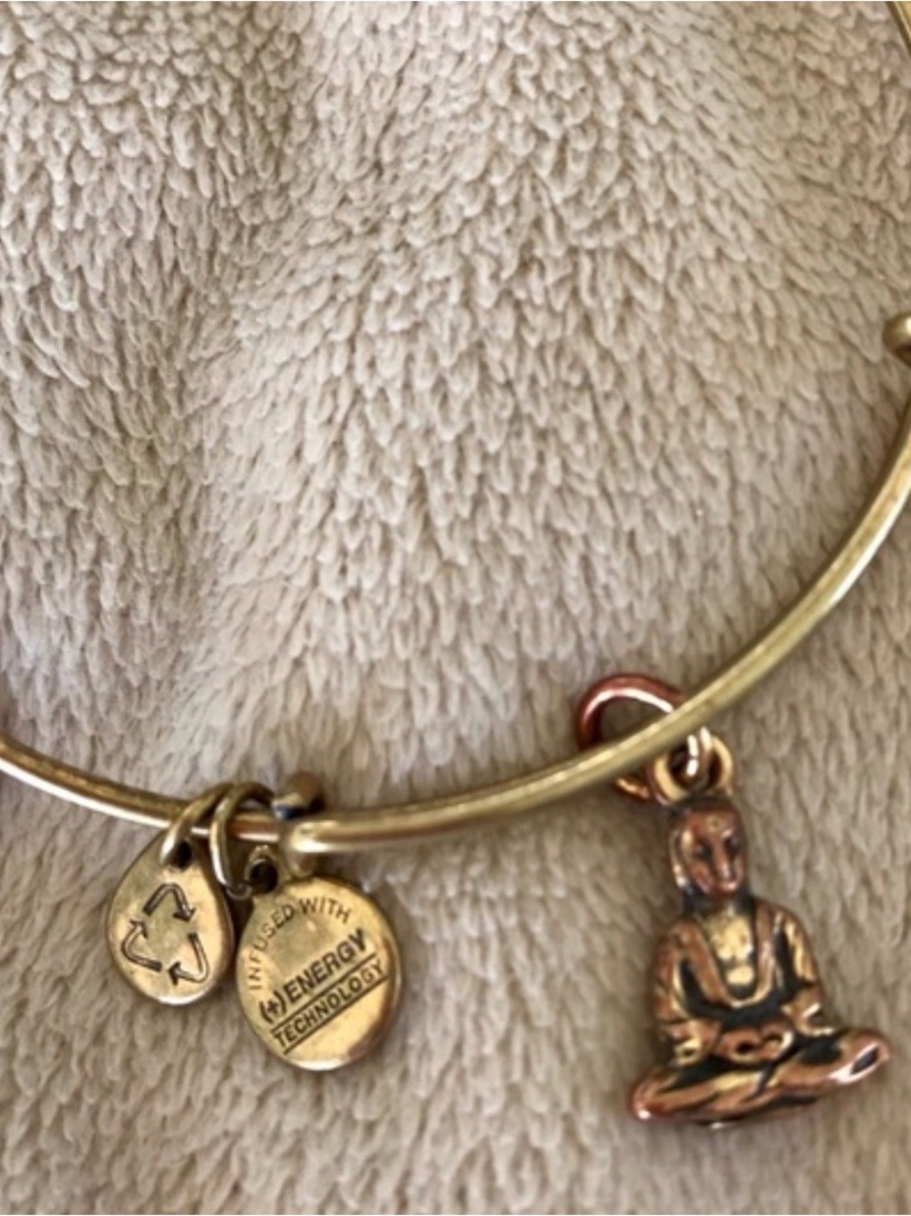 Alex and ani bangle bracelet